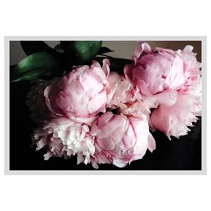 queence Bild »Gunni«, Blumen, gerahmt, Rosen weiss Größe