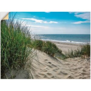 Artland Wandbild »Dünenlandschaft im Sommer an der Nordsee«, Strand, (1 St.),... grün Größe