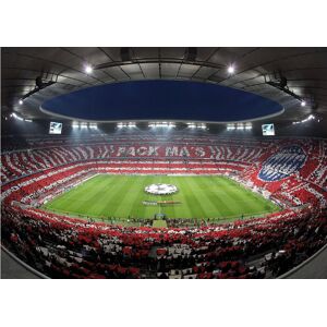 Wall-Art Fototapete »Bayern München Stadion Choreo Pack Mas«, made in Berlin bunt Größe B/L: 4,8 m x 3,5 m