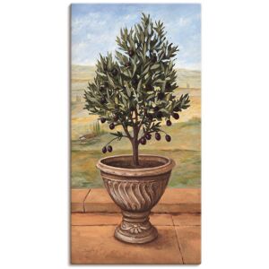 Artland Wandbild »Olivenbaum«, Pflanzen, (1 St.), als Alubild, Outdoorbild,... grün Größe