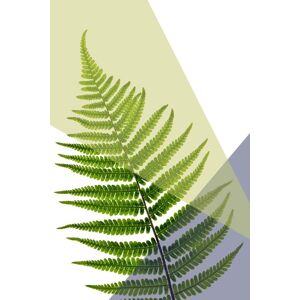 queence Acrylglasbild »Blätter« grün Größe