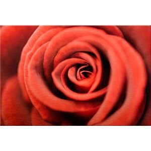 Wall-Art Metallbild »Rote Rose«, 120/75 cm rot Größe