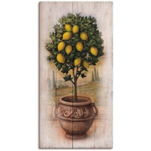Artland Leinwandbild »Zitronenbaum mit Holzoptik«, Bäume, (1 St.), auf... naturfarben Größe