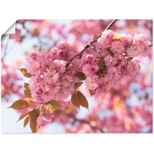 Artland Wandbild »Japanische Kirschblüte in Love I«, Blumen, (1 St.), als... pink Größe