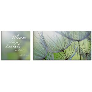 Artland Glasbild »Zitatenbild, Pusteblumen-Samen«, Sprüche & Texte, (2 St.),... grün Größe
