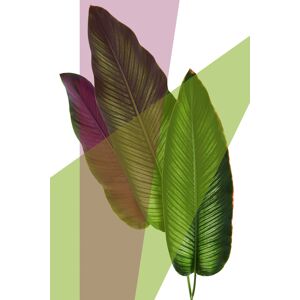 queence Acrylglasbild »Blätter« grün Größe