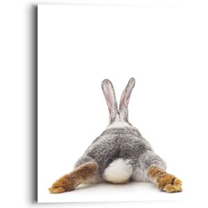 Reinders! Wandbild »Wandbild Kaninchen Rabbit - Hase - Schwanz - Relax«,... weiss Größe