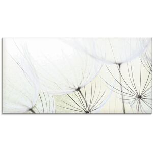 Artland Glasbild »Pusteblumen-Samen aufgehellt«, Blumen, (1 St.), in... grün Größe