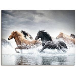 Artland Wandbild »Pferderennen V«, Pferdebilder, (1 St.), als Leinwandbild,... naturfarben Größe