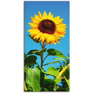 Artland Wandbild »Sonnenblume«, Blumen, (1 St.), als Alubild, Outdoorbild,... naturfarben Größe