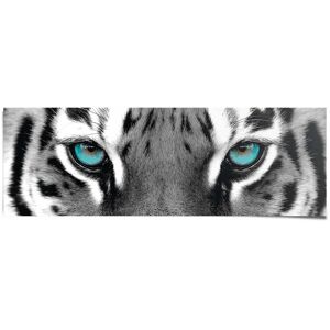 Reinders! Poster »Sibirischer Tiger« schwarz/weiss Größe