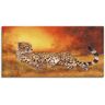Artland Wandbild »Gepard«, Geparden Bilder, (1 St.), als Alubild,... orange Größe