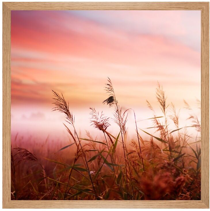 myposter Poster im Vollholz Bilderrahmen Eiche natur im Format 30 x 21 cm