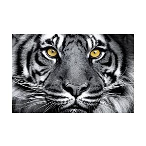 Weitere Deco-Panel Bild - Black Tiger 90 x 58 cm