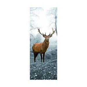 Weitere Deco-Glas Bild - Hirsch 80 x 30 cm