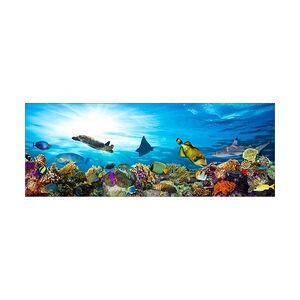 Weitere Deco-Glas Bild - Aquarium 80 x 30 cm