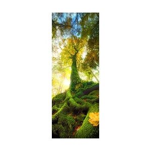 Weitere Deco-Glas Bild - Green Tree 80 x 30 cm