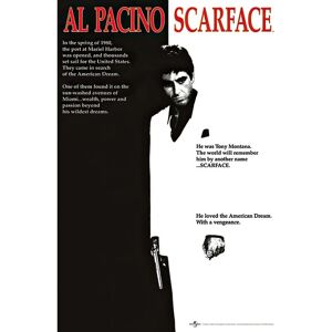 Pyramid Scarface Cover Poster Al Pacino