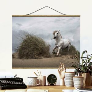 MICASIA Stoffbild mit Posterleisten - Weißes Pferd in den Dünen - Querformat 3:4 Größe HxB: 60cm x 80cm Material: Eiche