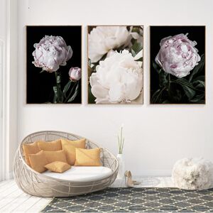 Aidegou32 Pfingstrose Blume Leinwand Poster Nordic Rosa Weiß Floral Botanischer Druck Wand Kunst Malerei Skandinavische Dekoration Bild Raum Dekor