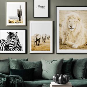 Aidegou13 Afrika Löwe Elefant Giraffe Zebra Kaktus Nordic Poster Und Drucke Wand Kunst Leinwand Für Wohnzimmer Dekor Malerei Wand Bilder