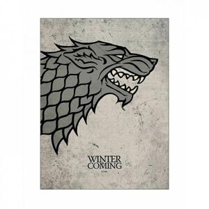 Game Of Thrones-Plakat