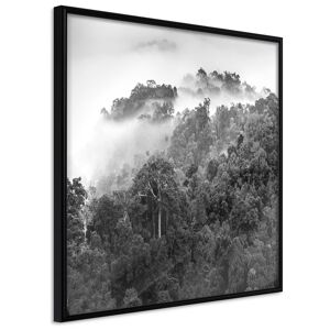 Artgeist Poster - Foggy Forest