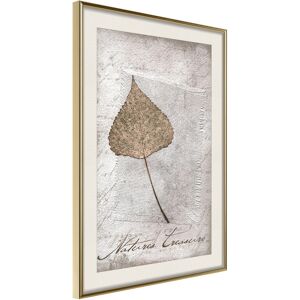 Artgeist Poster - Dried Leaf