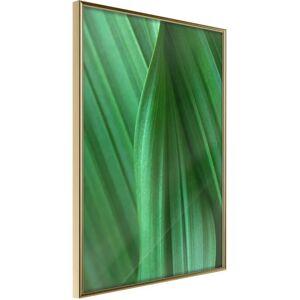 Artgeist Poster - Leaf Structure