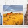 Glasbild Natur & Landschaft - Quadrat Feldstraße und Pferde bei Abendsonne