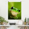 Poster Tiere - Hochformat Wetterfrosch