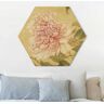 Hexagon-Alu-Dibond Bild Yun Shouping - Chrysantheme