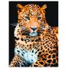 Wandbild ARTLAND "Wütender wilder Leopard" Bilder Gr. B/H: 60 cm x 80 cm, Alu-Dibond-Druck Wildtiere Hochformat, 1 St., schwarz Kunstdrucke als Alubild, Outdoorbild, Leinwandbild, Poster, Wandaufkleber