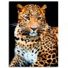 Wandbild ARTLAND "Wütender wilder Leopard" Bilder Gr. B/H: 60 cm x 80 cm, Leinwandbild Wildtiere Hochformat, 1 St., schwarz Kunstdrucke als Alubild, Outdoorbild, Leinwandbild, Poster, Wandaufkleber