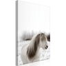 Artgeist Wandbild - Horse Mane (1 Part) Vertical