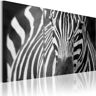 Artgeist Wandbild - Mrs. Zebra