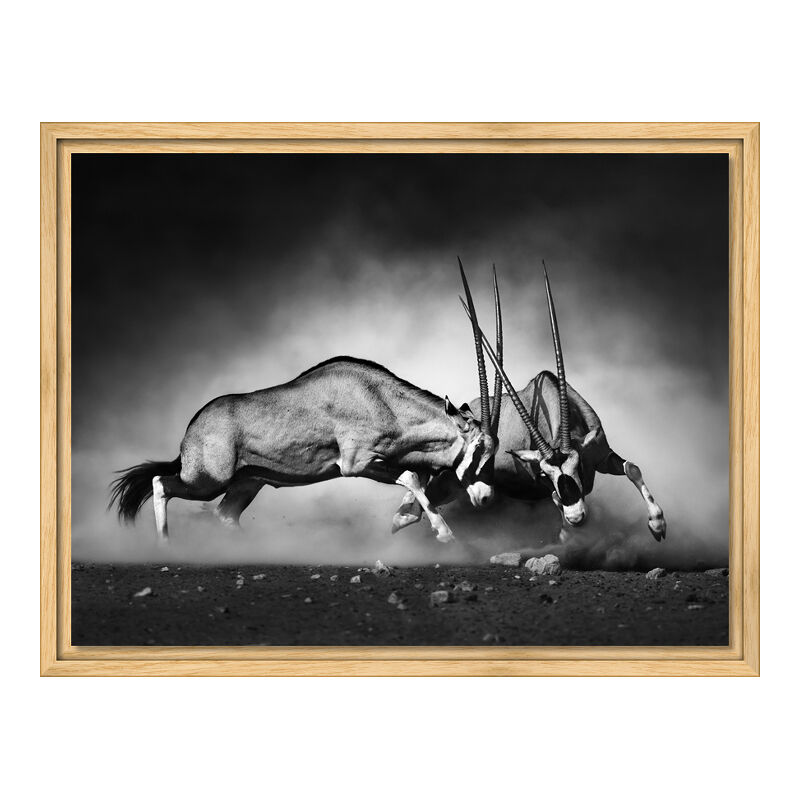 Acrylglasbilder im Schattenfugen Rahmen Natur im Format 60 x 45 cm