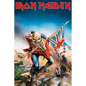 ART Iron Maiden - Trooper