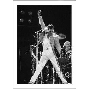 Printi FREDDIE MERCURY II PLAKAT