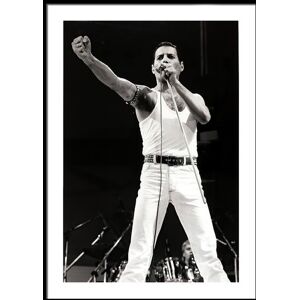 Printi Freddie Mercury No4 Plakat