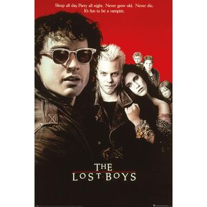 The Lost Boys (Cult Classic)
