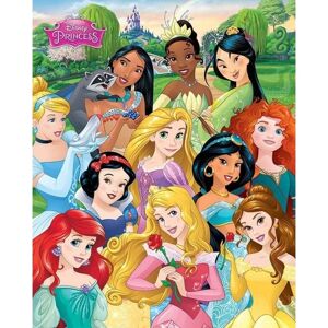 Disney Princess Jeg er prinsessen plakat