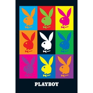 Playboy - Pop Art