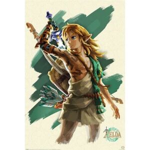 The Legend Of Zelda - Tears Of The Kingdom (Link Unleashed)