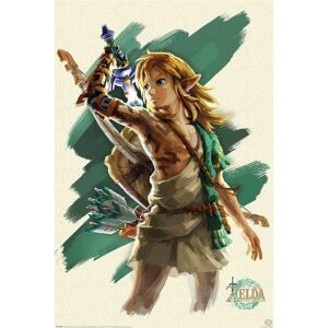 The Legend Of Zelda: Tears Of The Kingdom Link Unleashed Maxi Poster