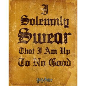 Harry Potter - I Solemnly Swear I Am Up To No Good