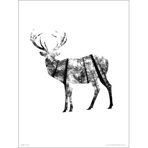 Exklusivt Art Print - Deer Woods