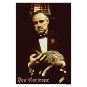 The Godfather Don Corleone Poster 50x70 cm 50x70 cm