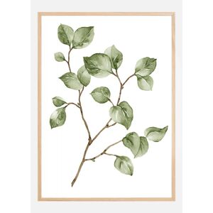 Bildverkstad Painted Leaves Plakat (50x70 Cm)