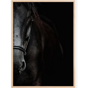 Bildverkstad Dark Horse Plakat (40x50 Cm)